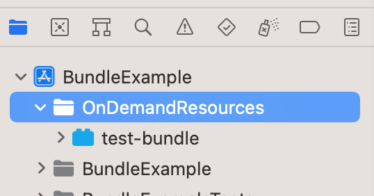 A test bundle inside an XCode project